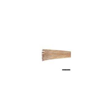 Sell Fresh Burdock