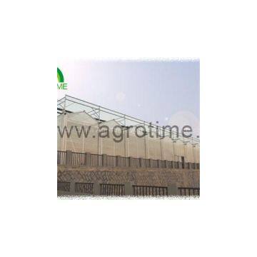 Venlo Polycabonate Greenhouse