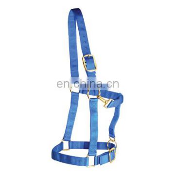 Horse pp webbing halter