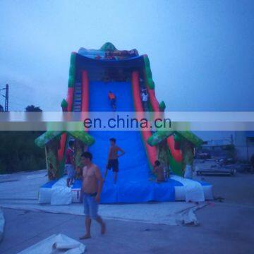 Newest Design Top Quality Inflatable Water Slide For Adult photo-3