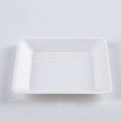 Disposable Biodegradable 6 INCH Square Plate Take Away Sugarcane photo-2