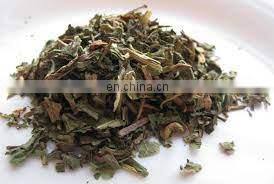 Pure Dried Dandelion Leaves for Herbal Tea/ Organic Pure Dried Dandelion Leaves From Vietnam photo-2