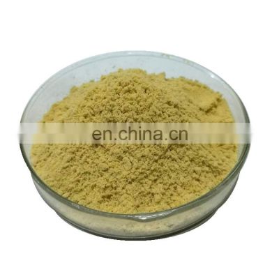 Manufacturer Supply Sage Extract /Salvia Officinalis Powder