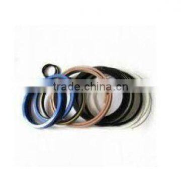 Hydraulic PUMP SEAL KIT