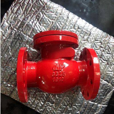 BS 5153 Swing Check Valve in Sizes DN40 to DN600, Tested to ISO5208 Standard, Pressure Range PN16 photo-2
