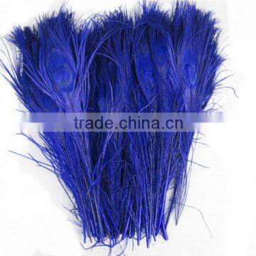 wholesale royal blue peacock feather for sale