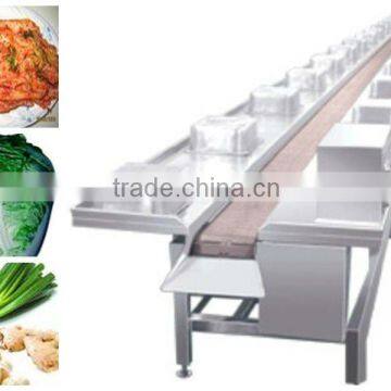 SUS 304 stainless steel material conveyor