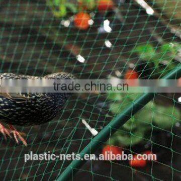 Hdpe Anti Bird mesh,anti-bird crop protection netting