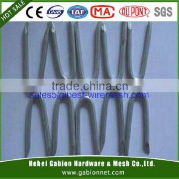 U Type Fence Staple Nail(BV, CE, SGS, ISO Certificate)