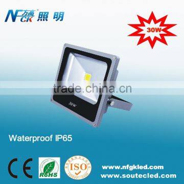 High quality Wholesale Epistar Bridgelux COB 30W LED Floodlight