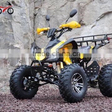 250cc Super ATV KLX Style ATV 250cc Quad Bike ATV 4 wheeler with CE QWMOTO