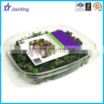 Clear Plastic Fresh Cut Fruit Packing boxes