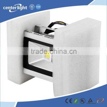 30W 6000k Led Flood Light
