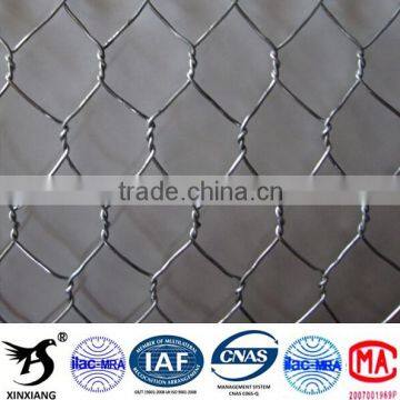 Anping Hexagonal Mesh photo-3