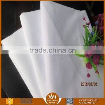 Popular 300TC Cotton Fabric Pillow With 55% Duck Down Filled For Wholesale