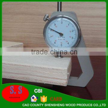 Low Price for Sale 18mm Plywood Poplar Core photo-3