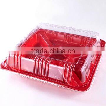 Food Grade Takeaway Plastic Printing Sushi Rice Box, Square Sushi Tray, Sushi Platter photo-2
