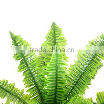 Decorative Artificial Boston Bonsai Plant and Trees photo-3