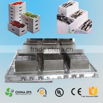 China Styrofoam Mould Making/Eps Mould For Fruit Box