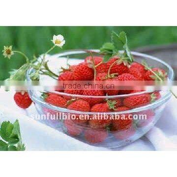 Strawberry Powder food and beverage