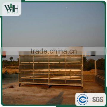 Vietnam Best Herb - Black Pepperseed 550gl 500gl With Good Price photo-6