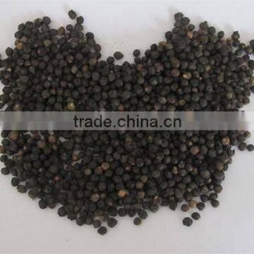 Malabar Spinach Seeds Vegetable Seeds for Planting photo-4