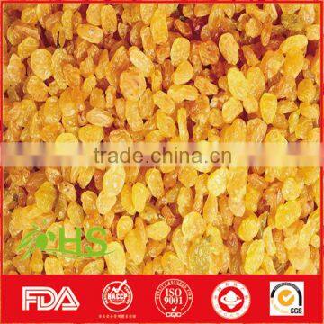 Green Red Black and Golden Raisin for Wholesale photo-4