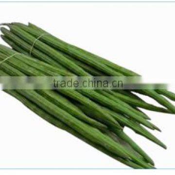 Organic Drumstick Vegetable