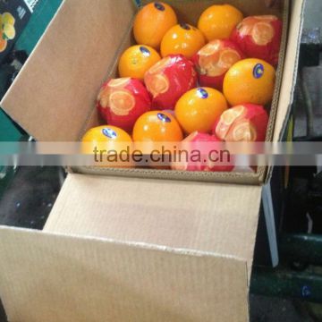 Fresh good taste natural oranges from Egypt