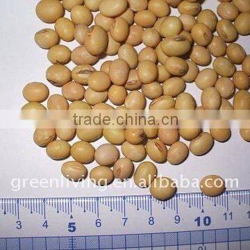 2011 super quality chinese soybean in market