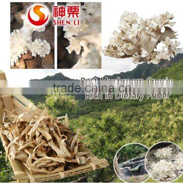 Chestnut Mushroom Grifola Frondosa Cooking to Eat photo-2