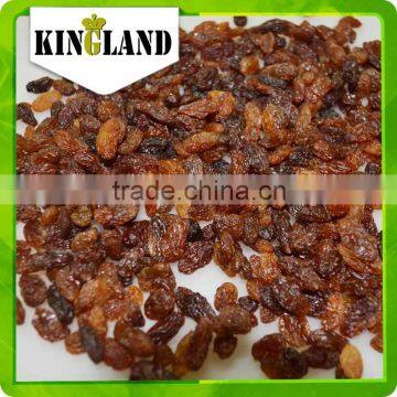 latest dried fruits export sultana red raisins