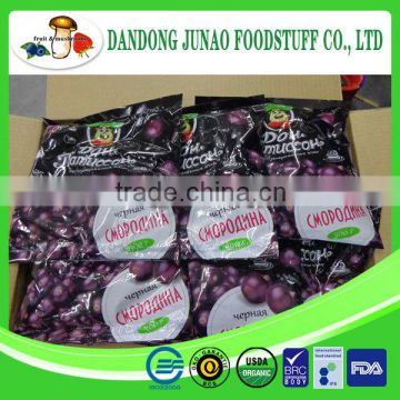 wholesale healthy snack fd frozen dried black currant