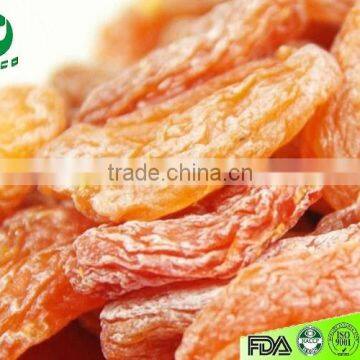 dried apricot dried fruit fruit snack