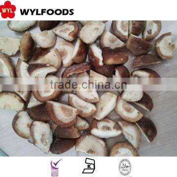 good price for frozen shiitake mushroom cultivation