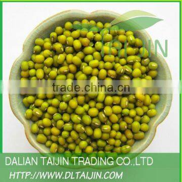 GREEN MUNG BEAN High Quality for Sprout, Small Size 3.0mm--3.4mm