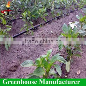 Greenhouse Micro Irrigation System Design photo-2