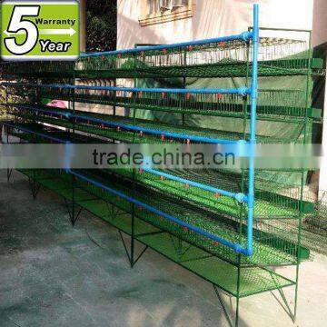 layer quail cage feeding equipment