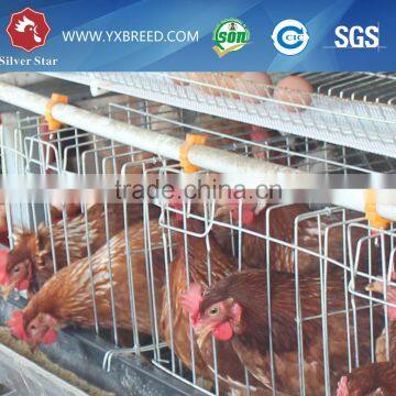 2.15m 3 tiers Layer Chicken Cage for Poultry