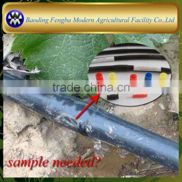 Agricultural Poly Irrigation Pipe Drip Line photo-2