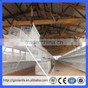 Africa layer chicken cage/laying battery hens cage/poultry farming equipment(Guangzhou Factory)
