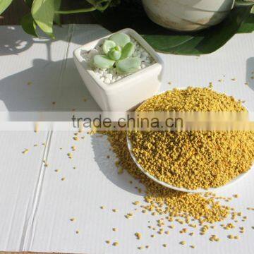 Rape Bee Pollen