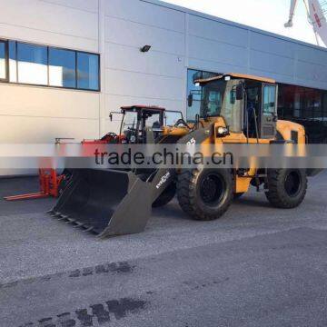 Everun New Design 2017 3 Tons Mini Wheel Loader With Bucket photo-6