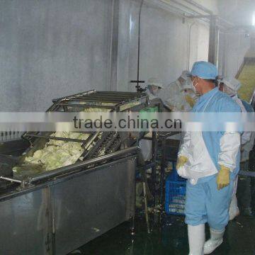 Custom Design Fruit And Vegetable Processing Line Machines photo-5