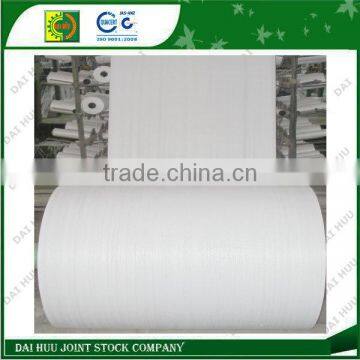 PP woven roll