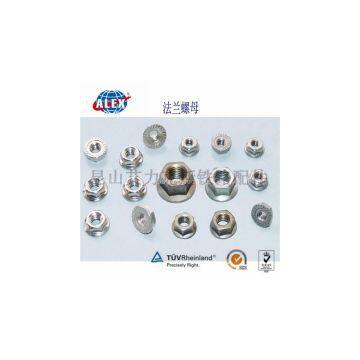 Railway Nut for Bolt Shanghai Supplier, Manufacturer Railway Nut for Bolt, Fastener Railway Nut for Bolt photo-2