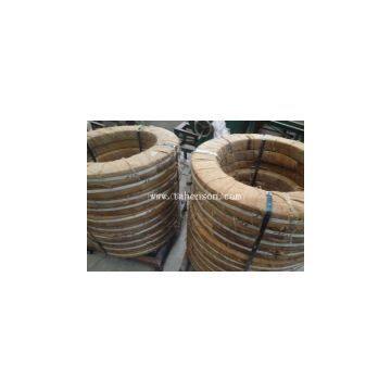 Hot dipped Hot Rolled Spring 65mn st37-2g jac590r Galvanized Steel Strip