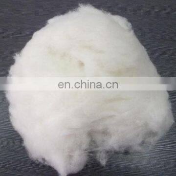 Pure inner Mongolia Cashmere fibre white price