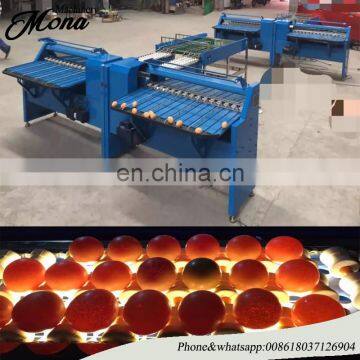 Egg Grading Machine/egg Sorting Machine/egg Grader for Sale Egg Grading Packing Machine photo-2