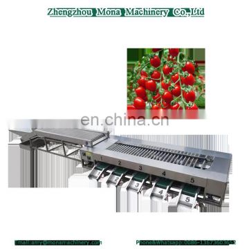 Fruit & Vegetable Washing Drying Waxing Sorting Line Machine Fruits Processing